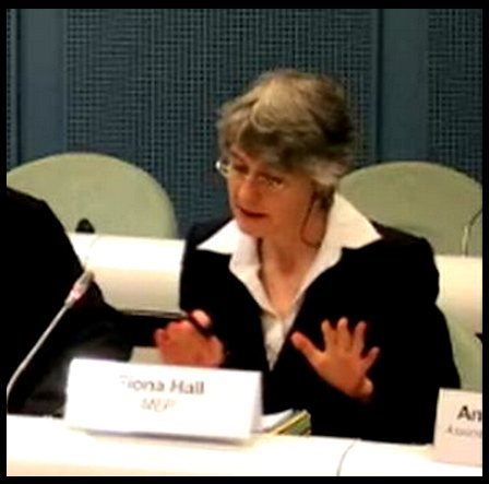 Fiona Hall MEP